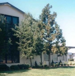 Dover Air Force Base- Chapel